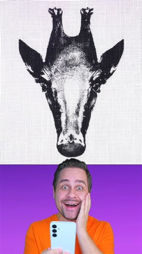 🦒 🐧=Insane Optical Illusion! 🤯 | DENIS MAGIC SHOW