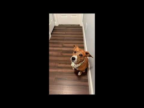 LIVE: Another Cold Front on the Way