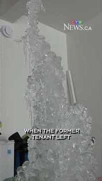 Trois-Rivières apartment freezes into 'ice castle'