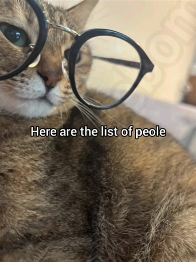 Single people #georgieebom #catfunny #catmeme @Titus Lim | cat funny