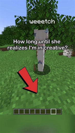 how long will it take? Minecraft meme clip