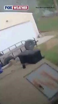 See How This Oklahoma Couple's Quick Move into Their Tornado Bunker May Have Saved Their Lives