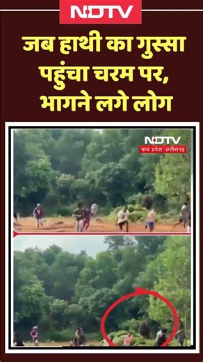 Elephant Attack: जब हाथी का गुस्सा पहुंचा चरम पर | जान बचाकर भागे लोग | Viral Video । Viral video