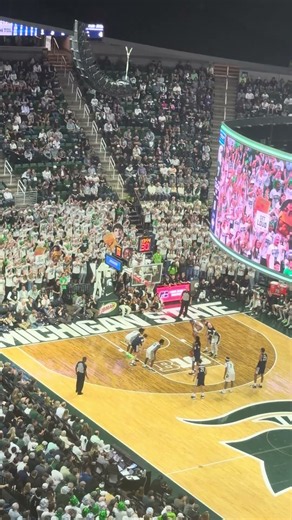 MSU Basketball