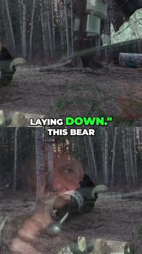Hunter's Epic Showdown: The Moment He Decided to Shoot the Bear #shorts