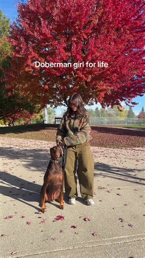 Doberman Girl for Life: Why This Breed is the Best Ever 🥹