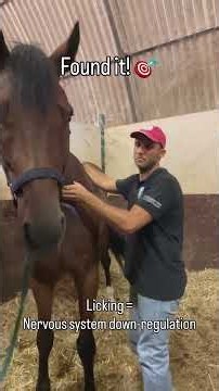 Found the Block, Now Listen to the Relief!🔊🤤 #horse #asmr