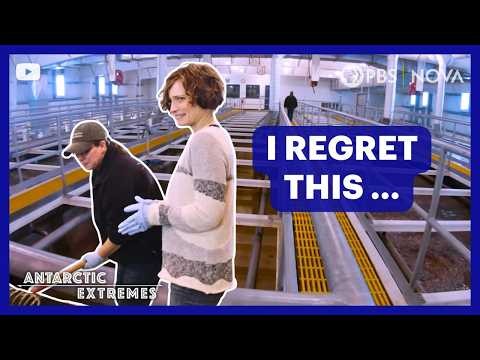 The Grossest Job in Antarctica | NOVA | PBS