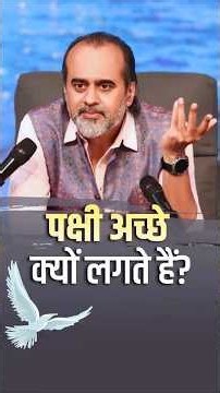पक्षी अच्छे क्यों लगते हैं? || आचार्य प्रशांत