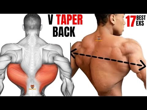 17 BEST LAT WORKOUT AT GYM TO GET V TAPER BACK