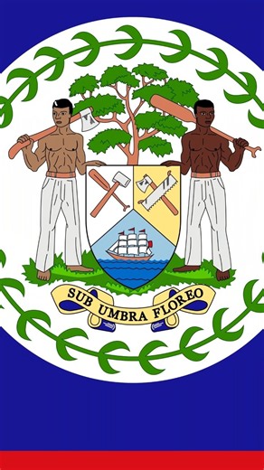 What’s Actually on the Belize Flag...#shorts