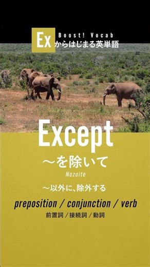 Except（～を除いて）🎧EXから始まる英単語 #英語学習 #英単語 #TOEIC #英会話 #アメリカ英語