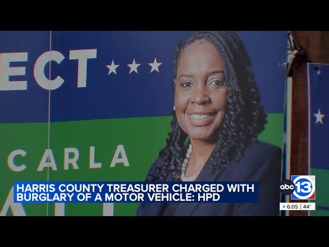 Harris County Treasurer Carla Wyatt charged with car burglary, records show