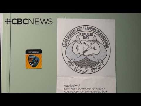 Naujaat hunters want Ottawa to hit pause on Steensby rail and port project