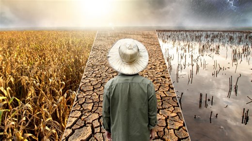 7 Things Everyone Can Do to Help Fight Climate Change