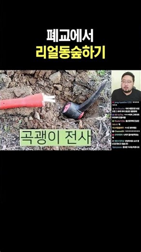 폐교에서 리얼동숲하기