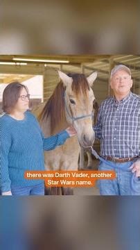 First-time adopters find their Right Horse on a not-so-distant planet 🐴🧡