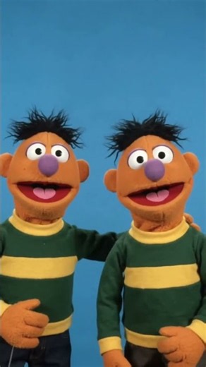 Classic Sesame Street twin Anything Muppets