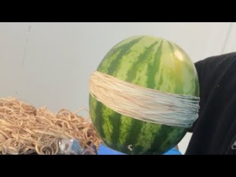 EXTREME WATERMELON EXPLOSION!!!!