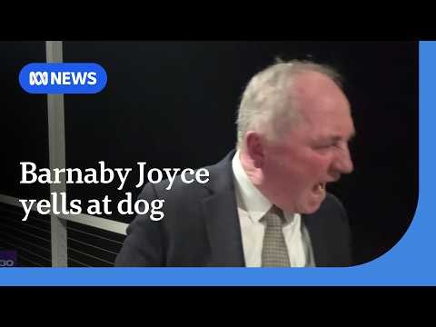 Barnaby Joyce yells at dog while defending One Nation’s immigration policy | ABC NEWS