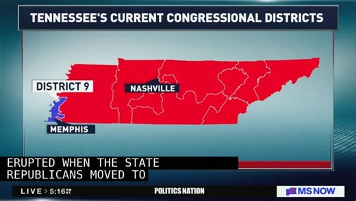 Al Sharpton Presses Tennessee Dem About His Viral Police Rampage: What Happened ‘To Warrant Such A Response?’