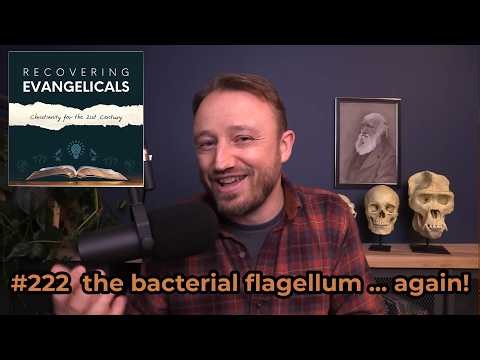 #222 - Evolution v. Intelligent Design ... again!