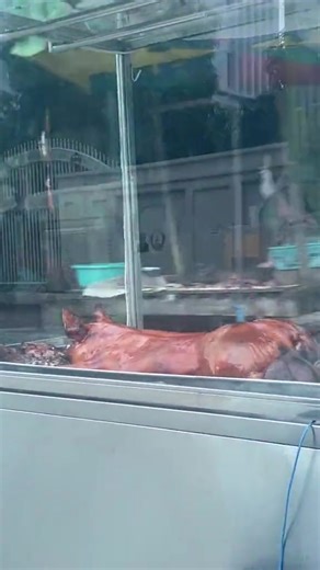 Masarap na Lumpia at Pancit: Paborito ng marami