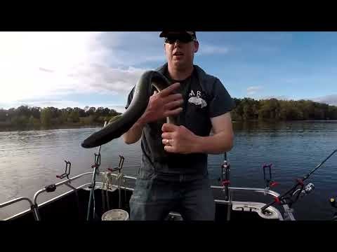 😂 Ranking the FUNNIEST Outdoor Fails 🤣🎣 | Wait for the Last One! #shorts