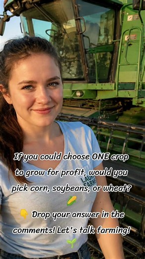 #LauraFarms #Farming #Agriculture #FarmLife #HarvestSeason #CornFarming #Soybeans #WheatHarvest #Sho