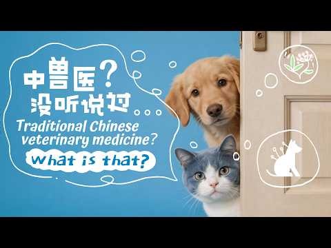 Trailer: Ancient China's 'paw-fect' remedy