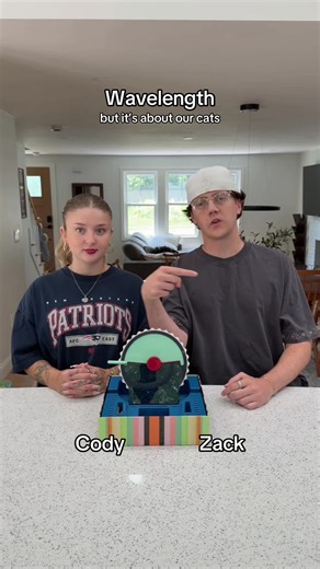 Cody and Willow Ragdoll Cats: Wavelength Moments You Have to See