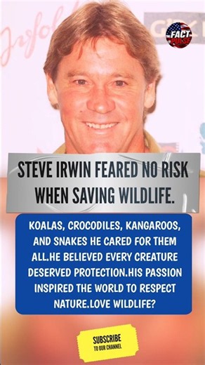 STEVE IRWIN’S COURAGE AND LOVE FOR WILDLIFE 🐊❤️ #SteveIrwin #Wildlife #AnimalLovers #WildlifeRescue