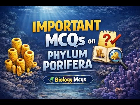 Phylum Porifera important MCQS #zoology