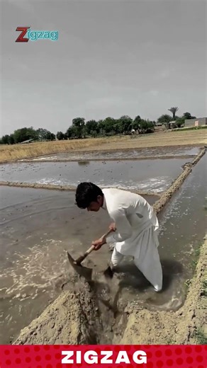 Simple & Effective Farming Shovel for Digging & Water Channeling in Muddy Rice Fields