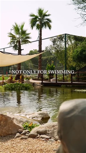 Aqualivin Natural Pools & Ponds on Instagram: "Every garden needs water. Not just for swimming, but to bring life into the space. Too often, water is designed for function alone and ends up rarely used. We believe it should do more. Our natural ponds become part of the garden itself, with plants, fish, and movement that change how the space feels every day. Not water you visit once in a while, but water you live with. #naturalpond #nature #plants #gardendesign #slowliving"