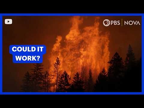 This Ancient Practice Could Prevent Wildfires | NOVA | PBS