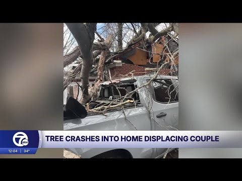 A tree crashed into a Redford Township home during high winds, displacing a couple