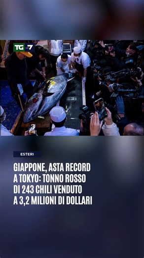 Giappone, asta record a Tokyo: tonno rosso di 243 chili venduto a 3,2 milioni di dollari
