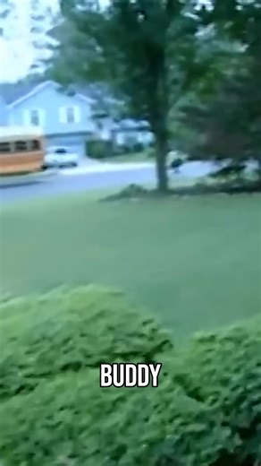 The morning routine is always a challenge. One child is ready, but the other refuses to get dressed. It takes patience and a little encouragement, but eventually everyone is ready to go! #Supernanny #JoFrost #MorningRoutine #SchoolDays #ParentingStruggles #Kids #FamilyLife | Supernanny