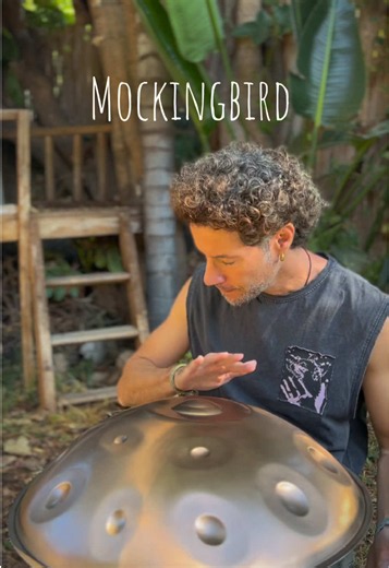 Mockingbird Eminem handpan cover | nature vibes musician