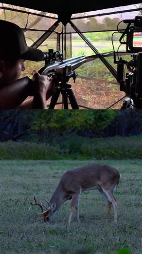 "The Biggest Buck Walked In… What Happened Next Was Unbelievable!" #deerhunting #wildhuntinglife
