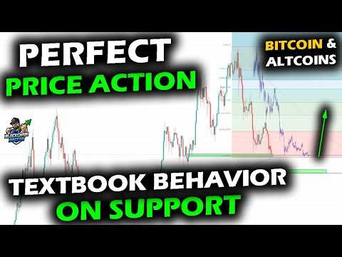 Perfect Level for Bitcoin Price Chart and Altcoin Market as Indicators, Sentiment & On-Chain Collide