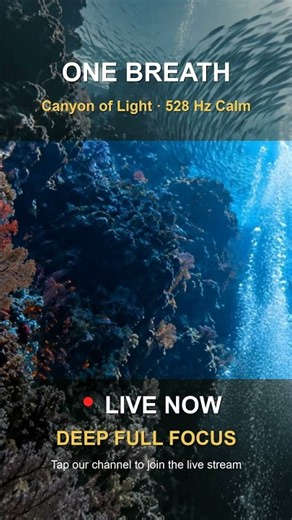 One Breath · Canyon of Light ✨ 528 Hz Calm · LIVE NOW #shorts