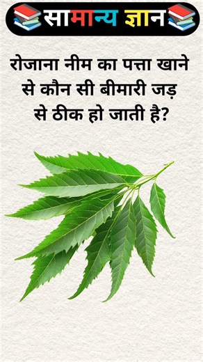 Top 20 GK Question 🔥💯|| GK Question ✍️|| GK Question and Answer #brgkstady #gkinhindi #gkfacts 0310