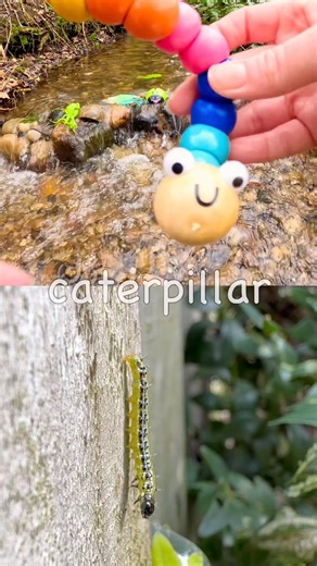 Kids Learn | Bug Insect Names at the Waterfall: Caterpillar Millipede Rhino Beetle Fly Snail