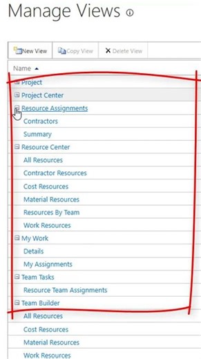 How to create and edit a custom view in MS Project Server?
