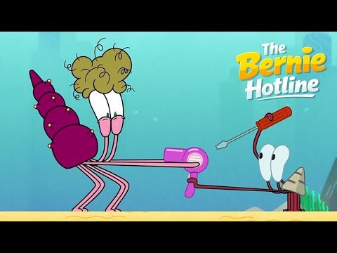 The Bernie Hotline (S01E24) Zig & Sharko - The Adventures of Bernie | Cartoons for Kids