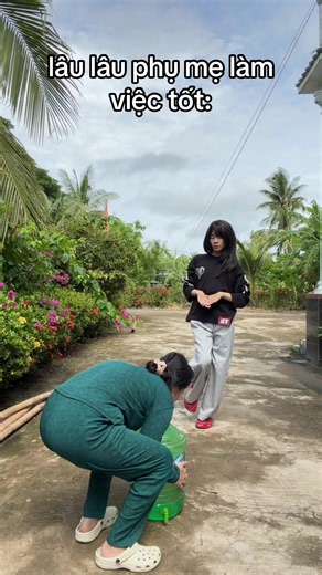 Video của A ri é (@ngkhangg.008) với bản nhạc nhạc nền - Đậu China (DouDou) 豆豆 - Đậu ☘️