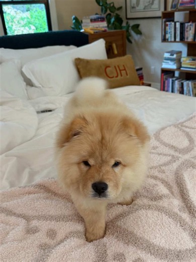 I have given birth, again. Introducing Doug’s new sister, Denise. My family is complete…for now.