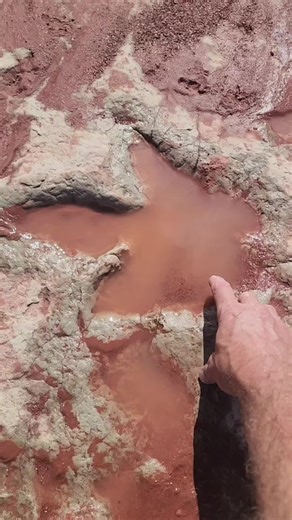 Jurassic Dinosaur Trackways Near Tuba City Arizona